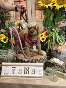 仙台ペット宿R with dogご宿泊頂きましたわんちゃんのご紹介