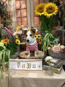仙台ペット宿R with dogご宿泊頂きましたわんちゃんのご紹介