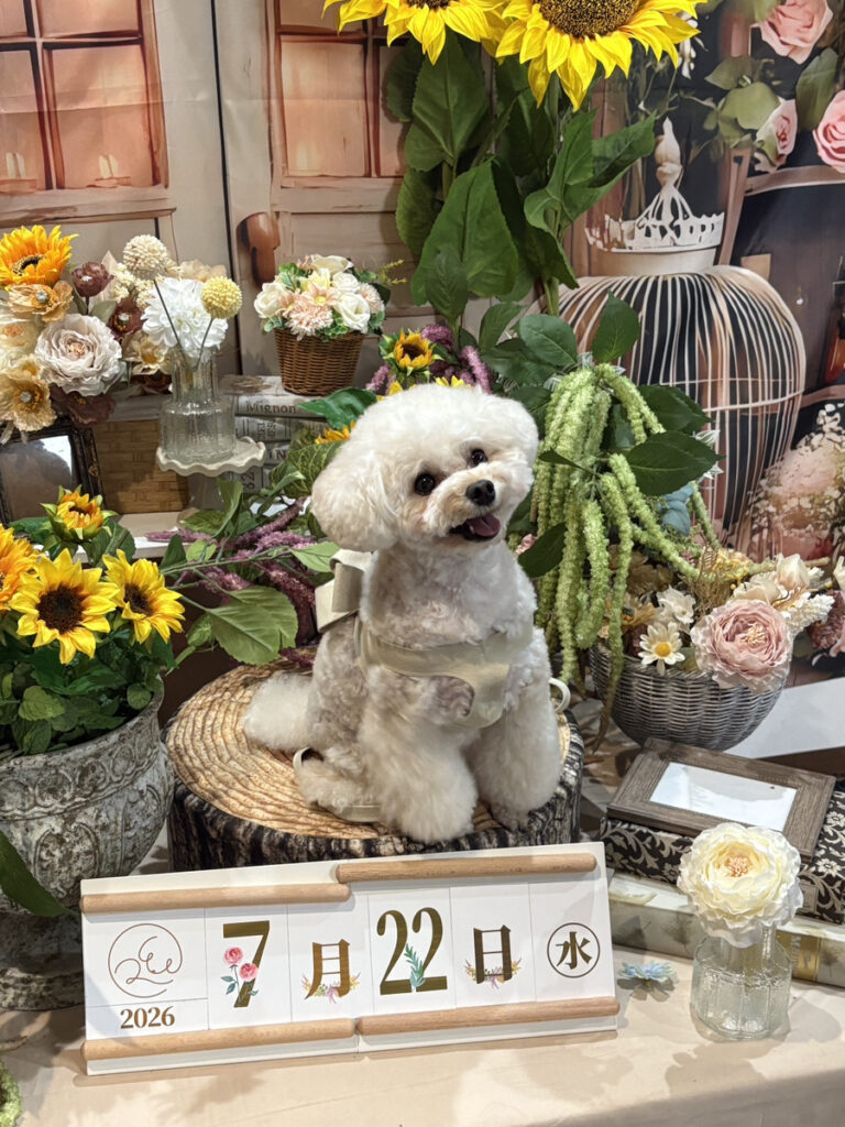 仙台ペット宿R with dogご宿泊頂きましたわんちゃんのご紹介