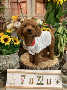 仙台ペット宿R with dogご宿泊頂きましたわんちゃんのご紹介