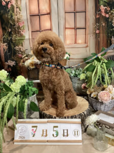 仙台ペット宿R with dogご宿泊頂きましたわんちゃんのご紹介