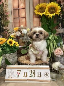 仙台ペット宿R with dogご宿泊頂きましたわんちゃんのご紹介