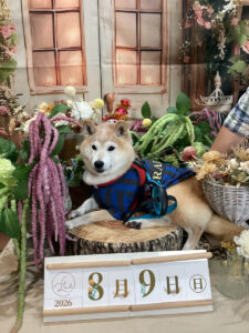 仙台ペット宿R with dogご宿泊頂きましたわんちゃんのご紹介