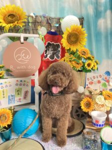 仙台ペット宿R with dogご宿泊頂きましたわんちゃんのご紹介