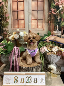 仙台ペット宿R with dogご宿泊頂きましたわんちゃんのご紹介