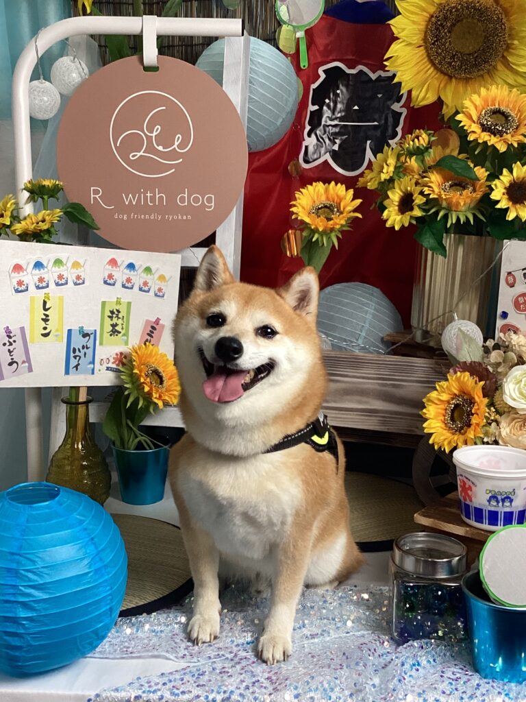 仙台ペット宿R with dogご宿泊頂きましたわんちゃんのご紹介