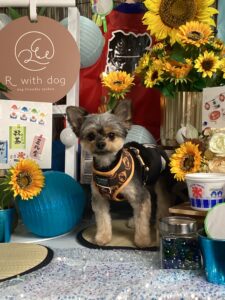 仙台ペット宿R with dogご宿泊頂きましたわんちゃんのご紹介