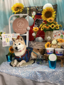 仙台ペット宿R with dogご宿泊頂きましたわんちゃんのご紹介