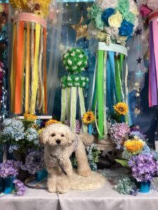 仙台ペット宿R with dogご宿泊頂きましたわんちゃんのご紹介