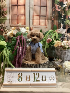 仙台ペット宿R with dogご宿泊頂きましたわんちゃんのご紹介