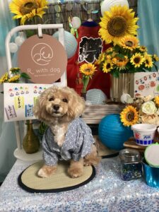仙台ペット宿R with dogご宿泊頂きましたわんちゃんのご紹介