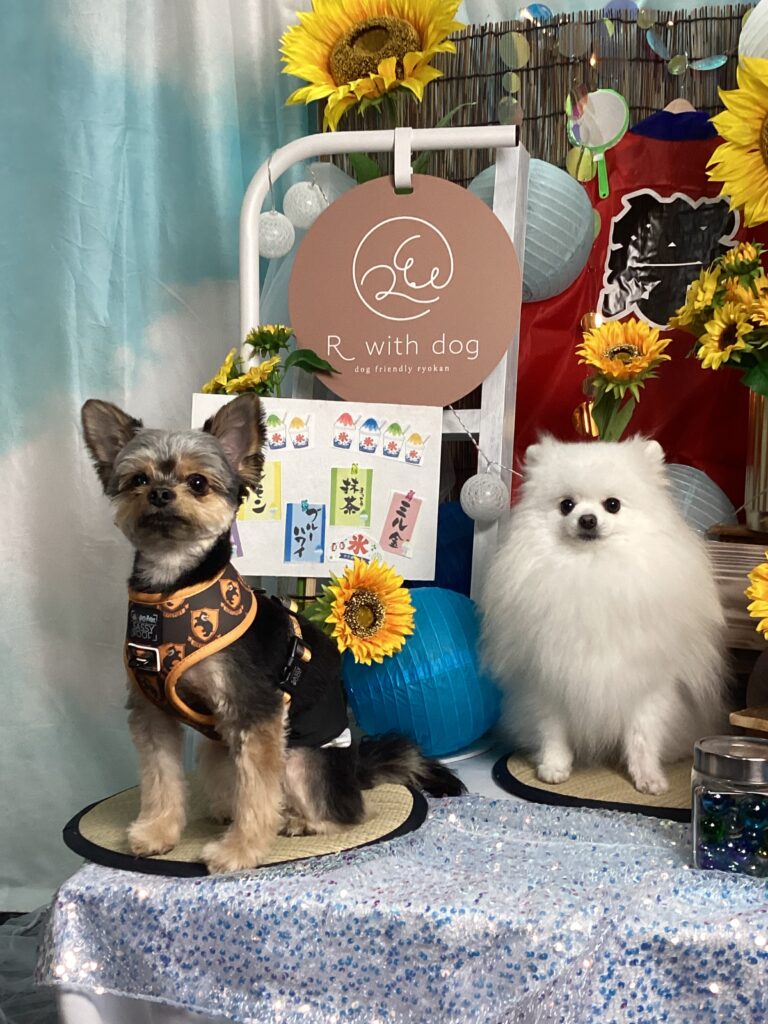 仙台ペット宿R with dogご宿泊頂きましたわんちゃんのご紹介