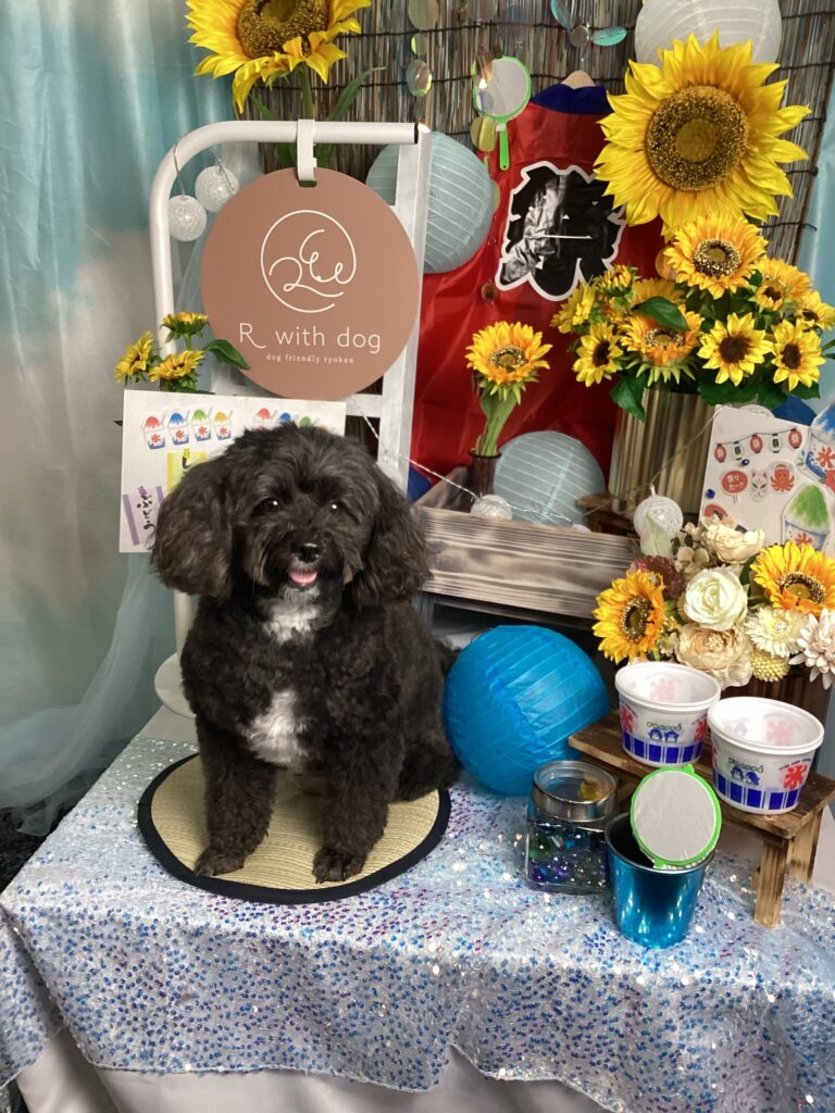 仙台ペット宿R with dogご宿泊頂きましたわんちゃんのご紹介