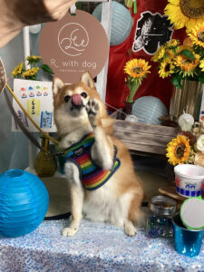 仙台ペット宿R with dogご宿泊頂きましたわんちゃんのご紹介