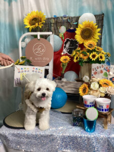 仙台ペット宿R with dogご宿泊頂きましたわんちゃんのご紹介