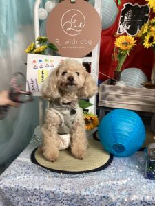 仙台ペット宿R with dogご宿泊頂きましたわんちゃんのご紹介