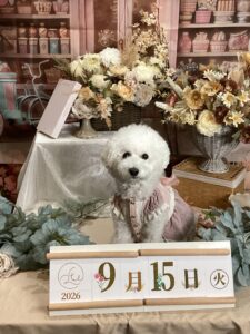 仙台ペット宿R with dogご宿泊頂きましたわんちゃんのご紹介
