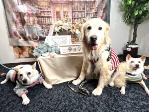 仙台ペット宿R with dogご宿泊頂きましたわんちゃんのご紹介