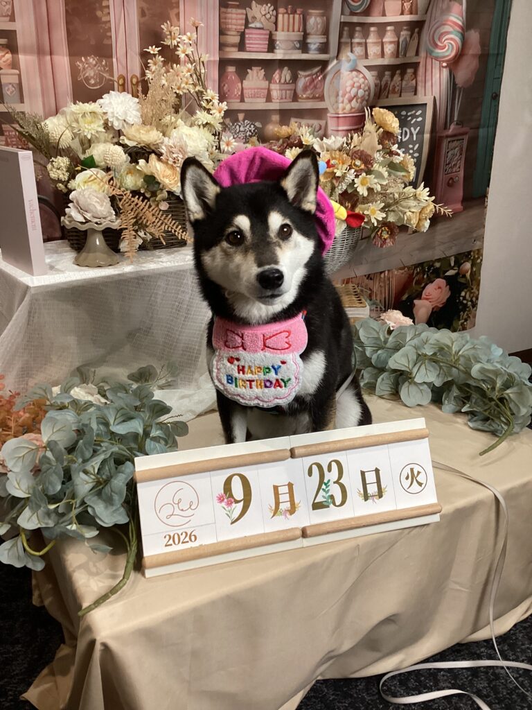 仙台ペット宿R with dogご宿泊頂きましたわんちゃんのご紹介