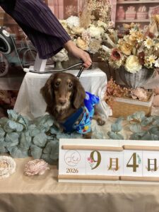 仙台ペット宿R with dogご宿泊頂きましたわんちゃんのご紹介
