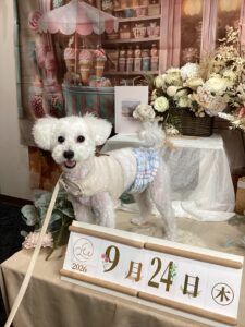 仙台ペット宿R with dogご宿泊頂きましたわんちゃんのご紹介