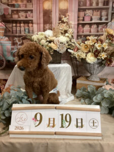 仙台ペット宿R with dogご宿泊頂きましたわんちゃんのご紹介