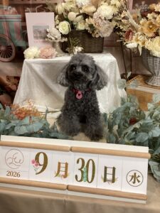 仙台ぺット宿R with dogご宿泊頂きましたわんちゃんのご紹介