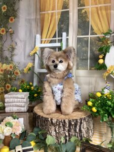 仙台ペット宿R with dogご宿泊頂きましたわんちゃんのご紹介