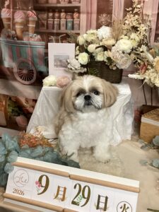 仙台ぺット宿R with dog ご宿泊頂きましたわんちゃんのご紹介