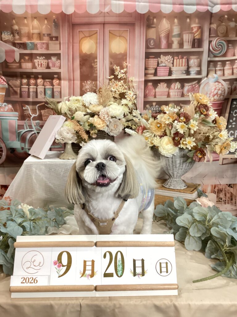仙台ペット宿R with dogご宿泊頂きましたわんちゃんのご紹介