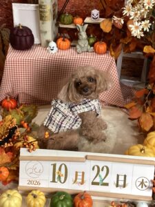 仙台ペット宿R with dogご宿泊頂きましたわんちゃんのご紹介
